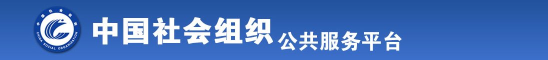 插逼内射视频网站全国社会组织信息查询